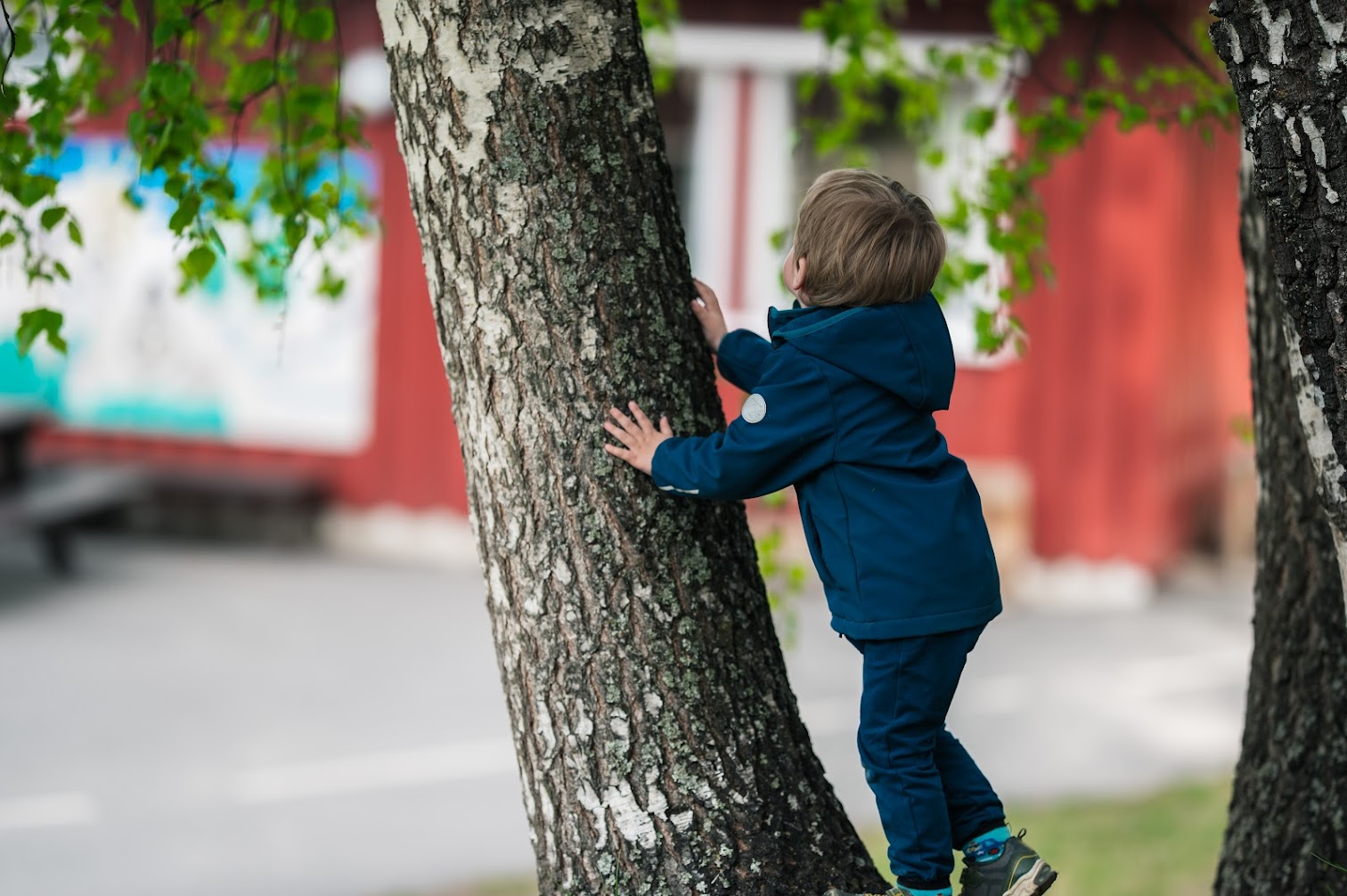 Søk barnehage nå